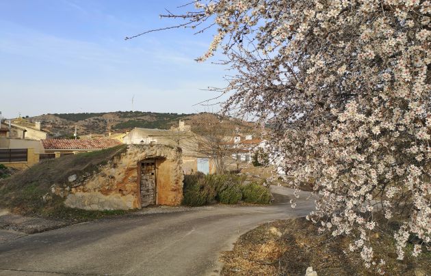 El Ayuntamiento de Olmeda de la Cuesta quiere recuperar también las tradicionales cuevas del vino. El Ayuntamiento de Olmeda de la Cuesta quiere recuperar también las tradicionales cuevas del vino.