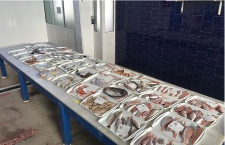 Pescado a la venta en la Cofradía del Campello Pescado a la venta en la Cofradía del Campello