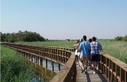 Imagen de una visita guiada por las Tablas de Daimiel Imagen de una visita guiada por las Tablas de Daimiel