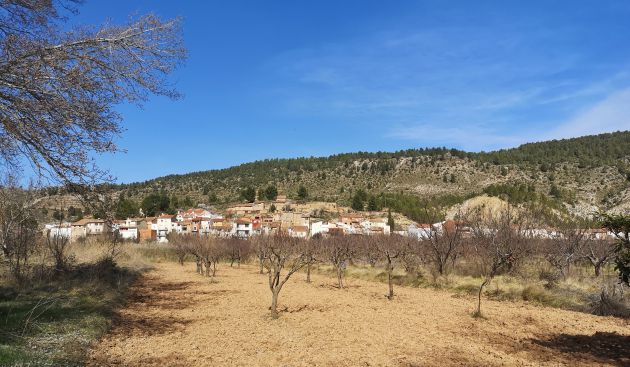 El recorrido nos lleva por Las Rinconadas y La Olmeda. El recorrido nos lleva por Las Rinconadas y La Olmeda.