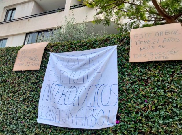 Protesta tala árbol Protesta tala árbol