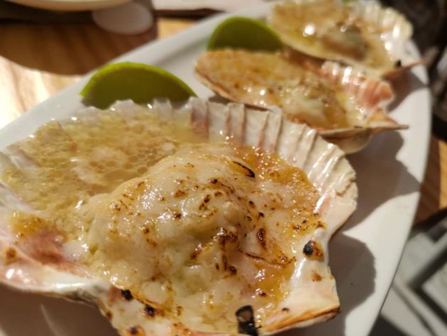 Vieiras gratinadas con parmesano Vieiras gratinadas con parmesano