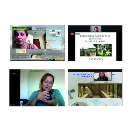 Collage fotográfico con difertentes momentos de la jornada Collage fotográfico con difertentes momentos de la jornada