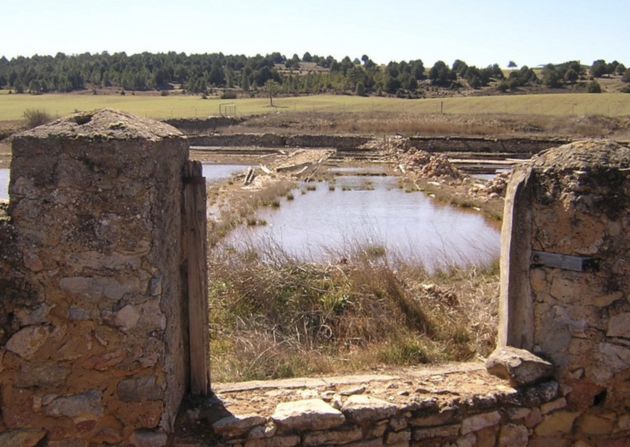 Salinas de Monteagudo. Salinas de Monteagudo.