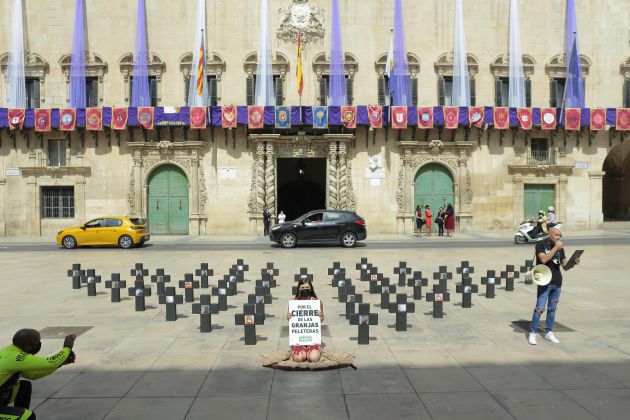 Acto protesta contra las granjas peleteras Acto protesta contra las granjas peleteras