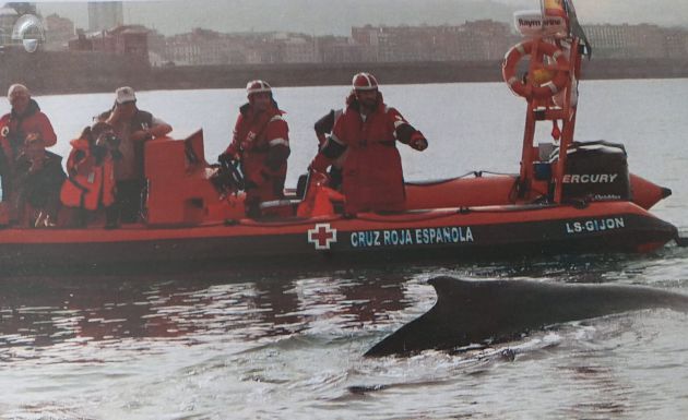 Voluntarios de CEPESMA colaboran con Cruz Roja en la playa de San Lorenzo Voluntarios de CEPESMA colaboran con Cruz Roja en la playa de San Lorenzo