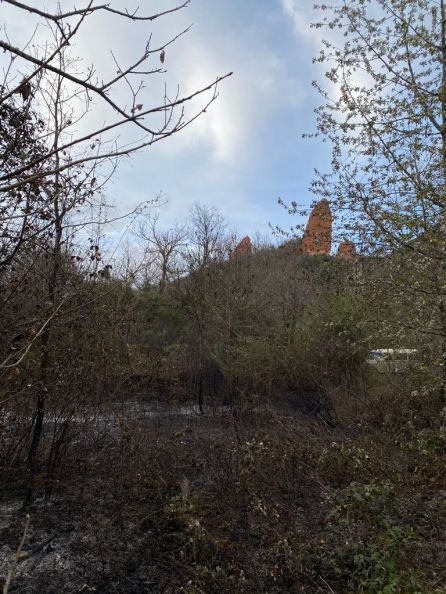 El fuego arrasó una hectárea de terreno El fuego arrasó una hectárea de terreno
