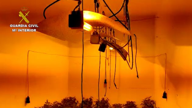 Sistema de cultivo indoor de marihuana desmantelado por la Guardia Civil en una vivienda ocupada ilegalmente en Utrera Sistema de cultivo indoor de marihuana desmantelado por la Guardia Civil en una vivienda ocupada ilegalmente en Utrera