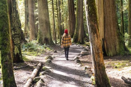 Una persona durante un baño de bosque Una persona durante un baño de bosque
