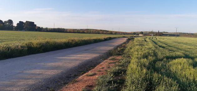 Imagen de una explotación agrícola de cereal en Calzada de Calatrava en Ciudad Real Imagen de una explotación agrícola de cereal en Calzada de Calatrava en Ciudad Real