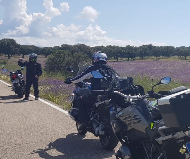 Las salidas de vía, en carreteras interurbanas durante los fines de semana suman el 49% de los accidentes en los que se ven implicados motoristas Las salidas de vía, en carreteras interurbanas durante los fines de semana suman el 49% de los accidentes en los que se ven implicados motoristas