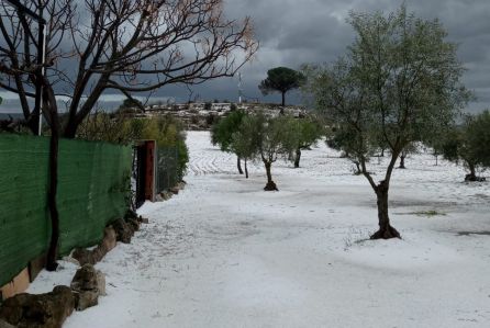 Imagen del pedrisco caído este fin de semana Imagen del pedrisco caído este fin de semana