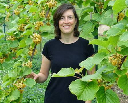 Cristina Secades junto a sus plantaciones de kiwis. Cristina Secades junto a sus plantaciones de kiwis.