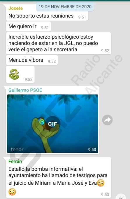 Captura de WhatsApp de uno de los grupos paralelos de los concejales críticos con el alcalde Captura de WhatsApp de uno de los grupos paralelos de los concejales críticos con el alcalde