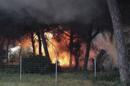 GRAFAND7867. PUERTO REAL (CÁDIZ) - Un incendio en una zona de pinares ha llevado a disolver la manifestación que los trabajadores de Airbus en la bahía de Cádiz, acompañados de empleados de la industria auxiliar aeronáutica y de representantes de diferentes partidos y administraciones han realizado esta mañana.El incendio se ha extendido rápidamente por una zona de pinares próximos a la CA-35, cerca del lugar por el que circulaba la manifestación que ha partido desde la factoría gaditana de Puerto Real sobre la que se cierne un anuncio de cierre.EFE Román Ríos. GRAFAND7867. PUERTO REAL (CÁDIZ) - Un incendio en una zona de pinares ha llevado a disolver la manifestación que los trabajadores de Airbus en la bahía de Cádiz, acompañados de empleados de la industria auxiliar aeronáutica y de representantes de diferentes partidos y administraciones han realizado esta mañana.El incendio se ha extendido rápidamente por una zona de pinares próximos a la CA-35, cerca del lugar por el que circulaba la manifestación que ha partido desde la factoría gaditana de Puerto Real sobre la que se cierne un anuncio de cierre.EFE Román Ríos.
