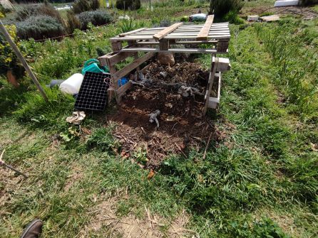 Cómo crear un huerto urbano eco y hacer compostaje en casa Cómo crear un huerto urbano eco y hacer compostaje en casa