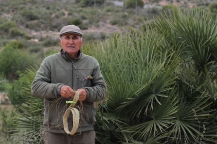 Don Fulgencio López Guirao, en la actualidad, trenzando el esparto junto a un ejemplar de palmito en la finca de Canteras donde tienen ubicado el Centro de Adiestramiento Canino: "Parras" Don Fulgencio López Guirao, en la actualidad, trenzando el esparto junto a un ejemplar de palmito en la finca de Canteras donde tienen ubicado el Centro de Adiestramiento Canino: "Parras"