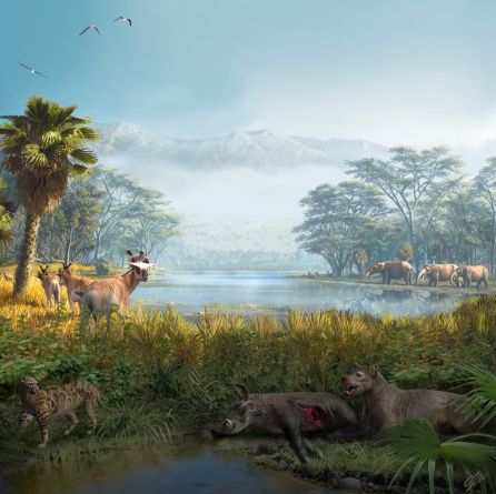 Reconstrucción paleoambiental de la comunidad extinta recuperada en el yacimiento paleontológico de Els Casots (Cataluña), datado en torno a hace 16 millones de años. Reconstrucción paleoambiental de la comunidad extinta recuperada en el yacimiento paleontológico de Els Casots (Cataluña), datado en torno a hace 16 millones de años.