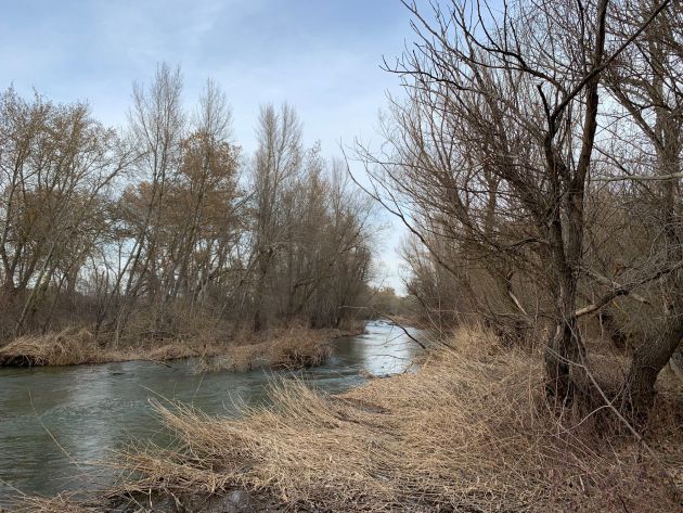 Río Henares Río Henares