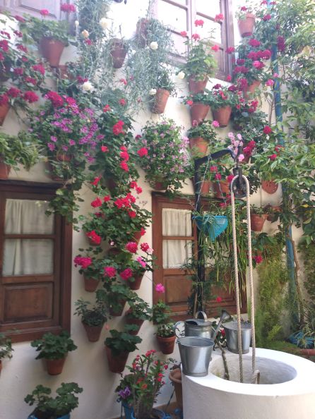 Patio del número 8 de la calle Pedro Verdugo Patio del número 8 de la calle Pedro Verdugo