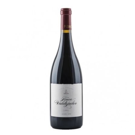 Pujanza finca Valdepoleo 2013 Pujanza finca Valdepoleo 2013