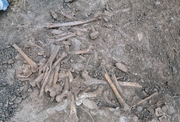 Restos óseos depositados en una de las fosas encontradas Restos óseos depositados en una de las fosas encontradas