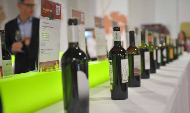Imagen de archivo, botellas en la galería del vino de FENAVIN Imagen de archivo, botellas en la galería del vino de FENAVIN