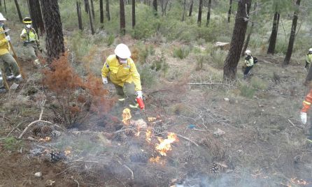"Plantando cara al fuego" como parte de la educación ambiental "Plantando cara al fuego" como parte de la educación ambiental