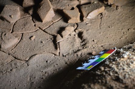 Por el tamaño de las huellas, los investigadores estiman que los niños podrían tener entre 6 y 7 años. Por el tamaño de las huellas, los investigadores estiman que los niños podrían tener entre 6 y 7 años.