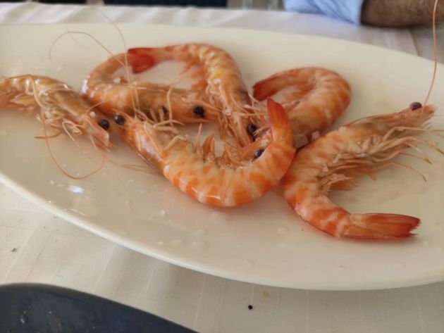 Langostinos de Sanlúcar cocidos Langostinos de Sanlúcar cocidos