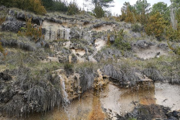 Paredes tobaceas en el recorrido de la senda. Paredes tobaceas en el recorrido de la senda.