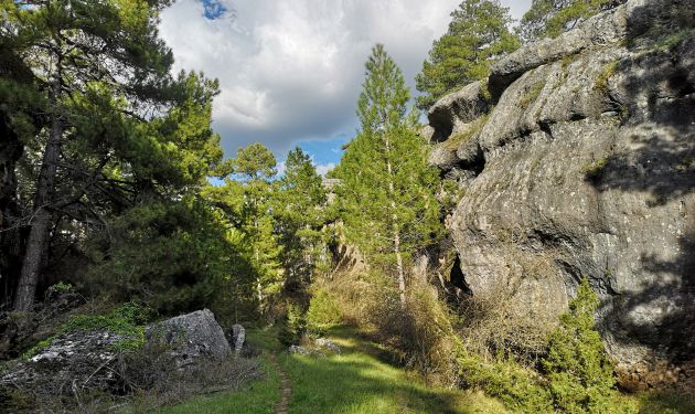 La ruta recorre espacios de gran valor paisajístico y medioambiental. La ruta recorre espacios de gran valor paisajístico y medioambiental.