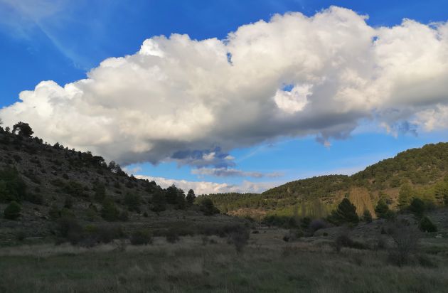 La ruta se puede hacer también partiendo desde Buenache de la Sierra. La ruta se puede hacer también partiendo desde Buenache de la Sierra.