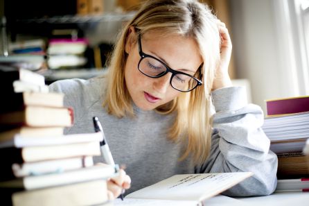 Una mujer estudiando Una mujer estudiando