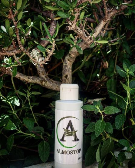 Producto natural contra las hemorroides Producto natural contra las hemorroides