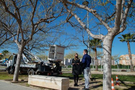La alcaldesa de Castelló, Amparo Marco, ha destacado que la nueva iluminación LED permite una menor contaminación lumínica y de emisión de CO2, además de un ahorro energético para la ciudad La alcaldesa de Castelló, Amparo Marco, ha destacado que la nueva iluminación LED permite una menor contaminación lumínica y de emisión de CO2, además de un ahorro energético para la ciudad