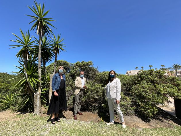 Pepa Vela, concejala de Turismo en Ciclana (izquierda), el alcalde de Chiclana, José María Román (centro) y la directora del hotel Playa La Barrosa, Mila Martínez. Los tres se encuentran junto a la vegetación que se ubica entre el complejo de piscinas del hotel y las dunas que están junto a la playa Pepa Vela, concejala de Turismo en Ciclana (izquierda), el alcalde de Chiclana, José María Román (centro) y la directora del hotel Playa La Barrosa, Mila Martínez. Los tres se encuentran junto a la vegetación que se ubica entre el complejo de piscinas del hotel y las dunas que están junto a la playa