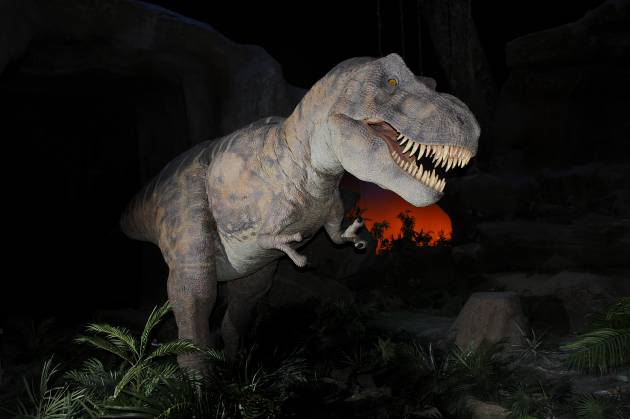Dinopolis dinosaurios Dinopolis dinosaurios