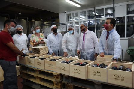 Visita a la Bodega Campos Reales Visita a la Bodega Campos Reales