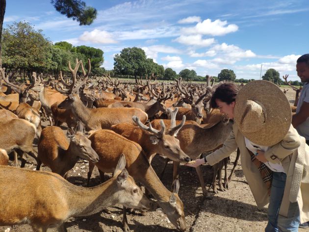 Amaya Arzuaga, entre sus ciervos en la finca de la que se surte el Restaurante El Taller Amaya Arzuaga, entre sus ciervos en la finca de la que se surte el Restaurante El Taller