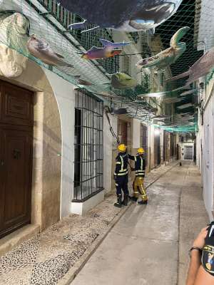 La Policía y bomberos retiran a una serpiente de 2,5 metros en el centro de Benissa La Policía y bomberos retiran a una serpiente de 2,5 metros en el centro de Benissa