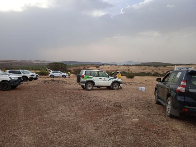 Imagen de los efectivos desplegados en la zona del incendio en el término de Viso del Marqués Imagen de los efectivos desplegados en la zona del incendio en el término de Viso del Marqués