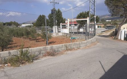 Una hamaca ha sido arrastrada por el intenso viento hasta un olivar cercano a las instalaciones de la piscina Una hamaca ha sido arrastrada por el intenso viento hasta un olivar cercano a las instalaciones de la piscina