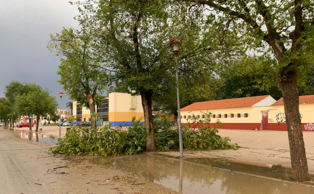 Imagen de una calle en Alcázar de San Juan con ramas de árboles caídas tras la tromba de agua de este martes Imagen de una calle en Alcázar de San Juan con ramas de árboles caídas tras la tromba de agua de este martes