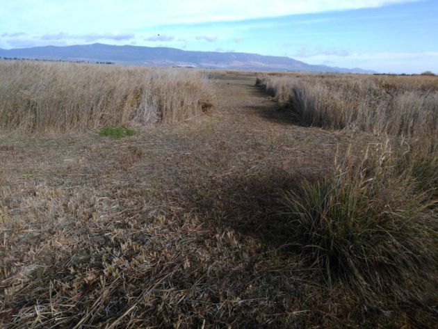 Imagen de una de las lagunas secas, en el entorno del Parque Imagen de una de las lagunas secas, en el entorno del Parque