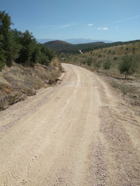 Uno de los caminos ya reparados Uno de los caminos ya reparados