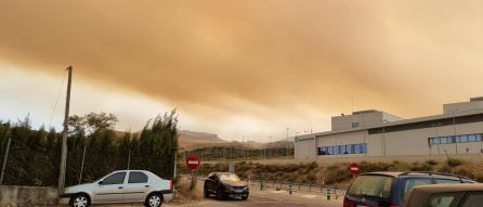 La Serranía de Ronda está completamente cubierta por una fina capa de humo y un intenso olor a quemado La Serranía de Ronda está completamente cubierta por una fina capa de humo y un intenso olor a quemado