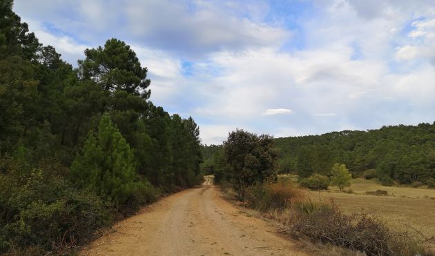De camino al tejar. De camino al tejar.