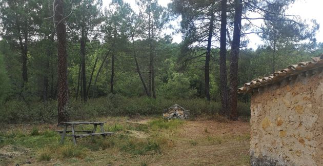 Área recreativa del Tejar. Área recreativa del Tejar.