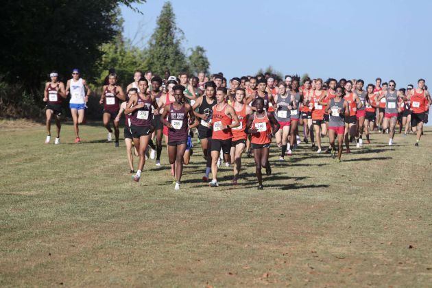 Momento del comienzo de la carrera Momento del comienzo de la carrera